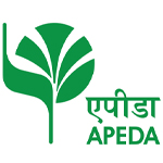 APEDA Certificate